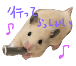 114039107