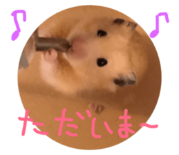114039108