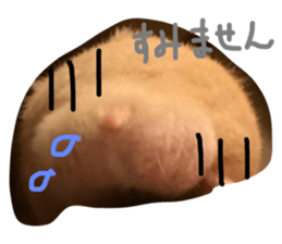 114039115