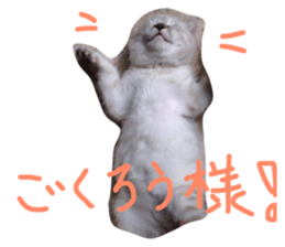 114039120