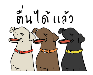 ลายที่ 8