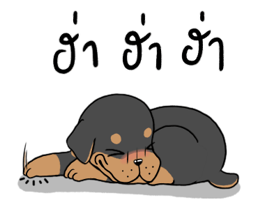 ลายที่ 15