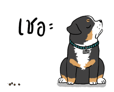 ลายที่ 22
