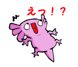11407780