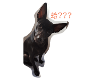 114120756