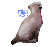 114120762