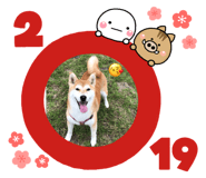 114154158
