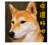 114154162