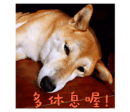 114154176