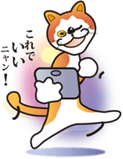 11422834