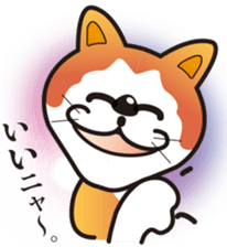 11422855