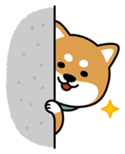 11441028