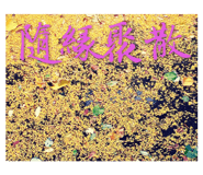 114606680