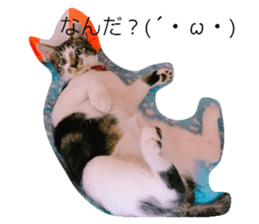114611512