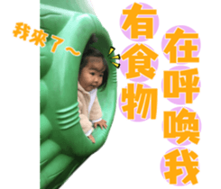 114615804