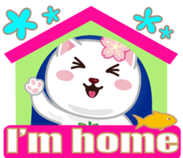 114703714