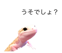 114870220