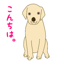 11490592