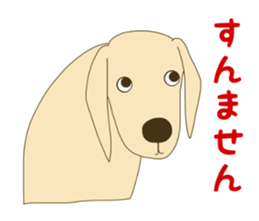 11490597