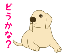 11490608