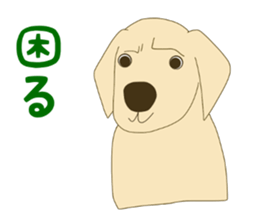 11490615