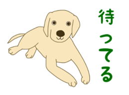 11490617