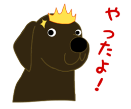 11490618