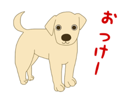 11490619