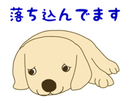 11490620