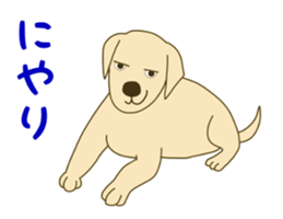 11490626