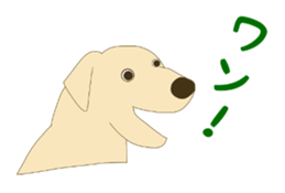 11490630