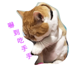 115090935