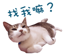115326050