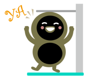 11538720