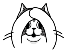 11556294
