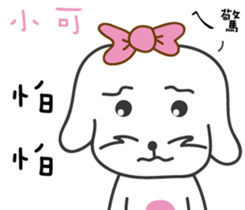 115647973