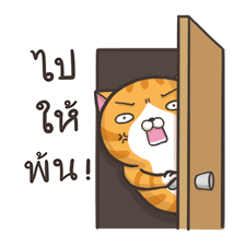 11576771