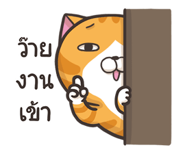 11576783