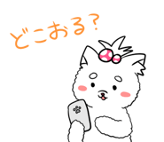 11590971