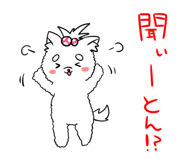 11590989