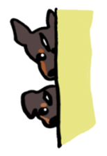 1159955
