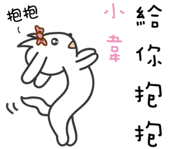 116008146