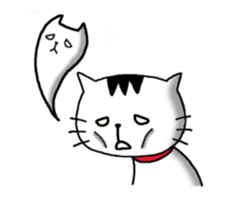 1161072