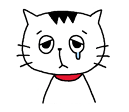 1161097
