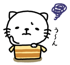 11622636