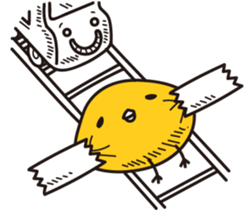11628658