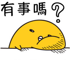 11628672