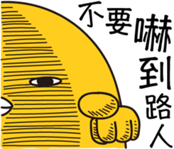 11628675