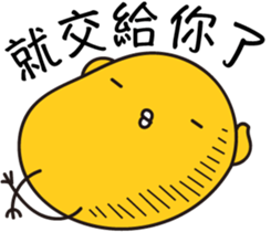 11628677