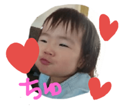 116304019